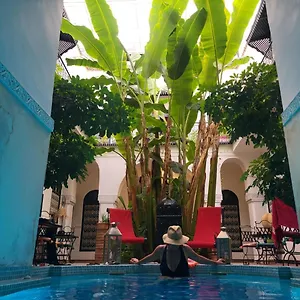 Aloes & (adults Only) 4* Marraquexe